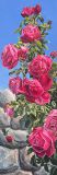 Rosen pink, 150x50cm.jpg